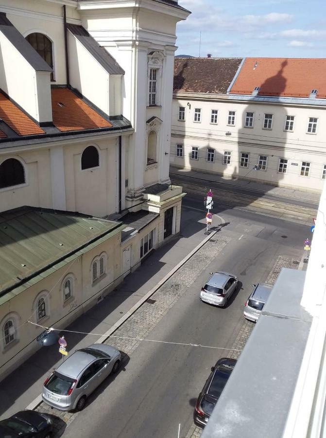 Apartament Alser *